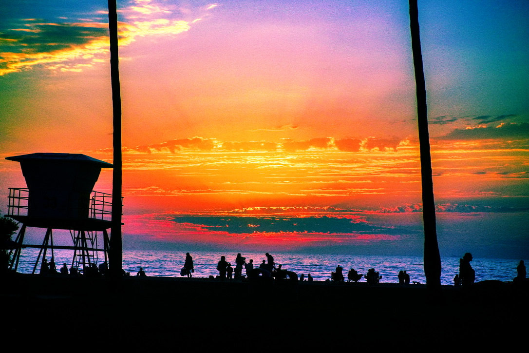 Vivid Edit 7